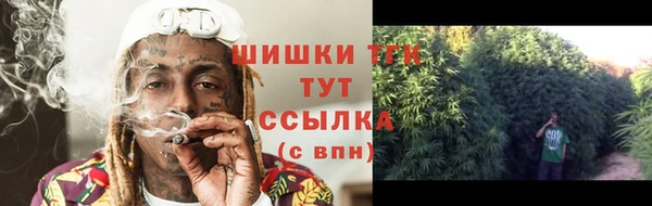 СК Лиски