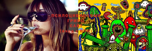 прущий лед Липки