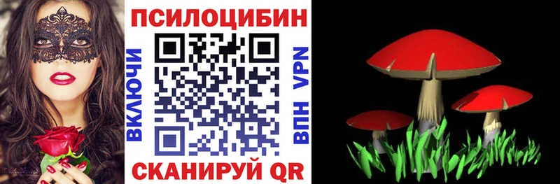 Купить Узловая Псилоцибиновые грибы ЛСД