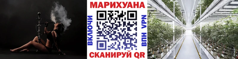 Купить где  Узловая  Канабис THC 21% 